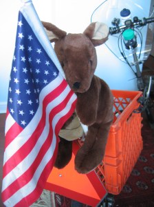 Joey ready for departure