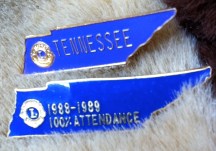 Perfect Attendance pins