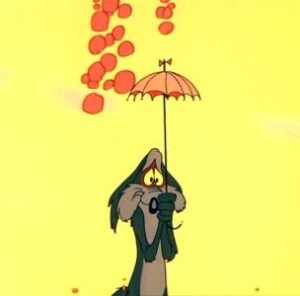 wile e coyote