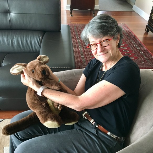 5A65A22E-04A4-4B29-BC9B-DB8F010740A8