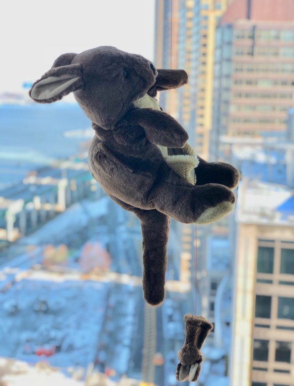 A077B089-E54D-47ED-81A6-0E46191942E6