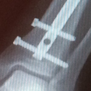 C559A69E-1DD1-4058-8C6D-411E33B389B7