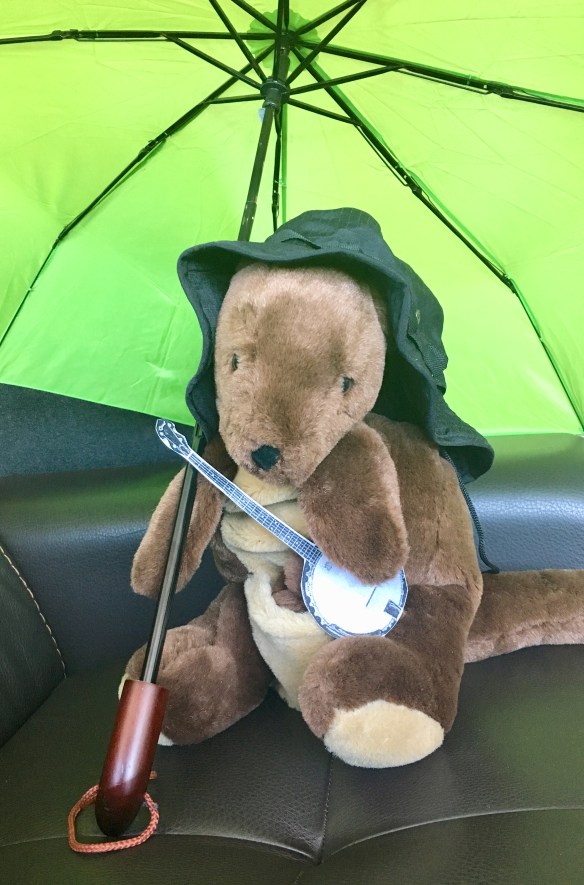 E00B65BF-8755-4910-991D-D23EE78C6022