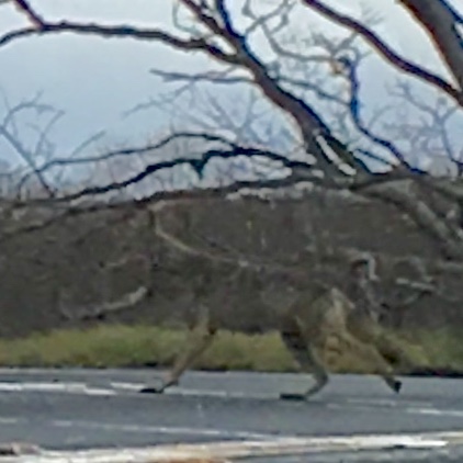 0E16AB1C-1CF7-4E2C-B763-21BD56038AAC