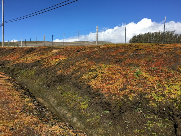 421E6A5D-F437-4A00-A421-B1EAF3805270