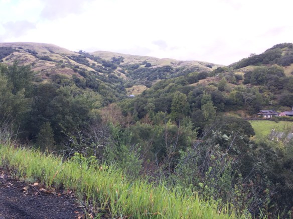 6638D10F-A861-4792-9CF7-F94EBBA38A14