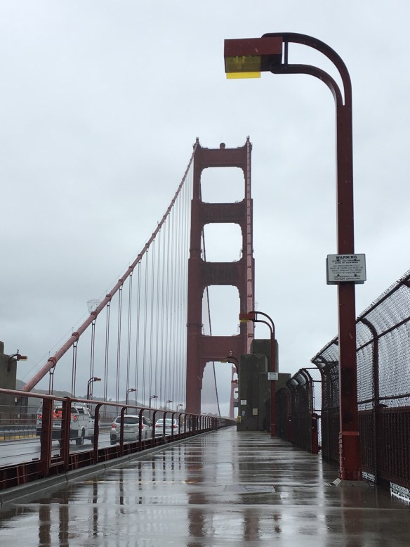 7688DE14-A2A8-4199-A5E5-16A15012AC28