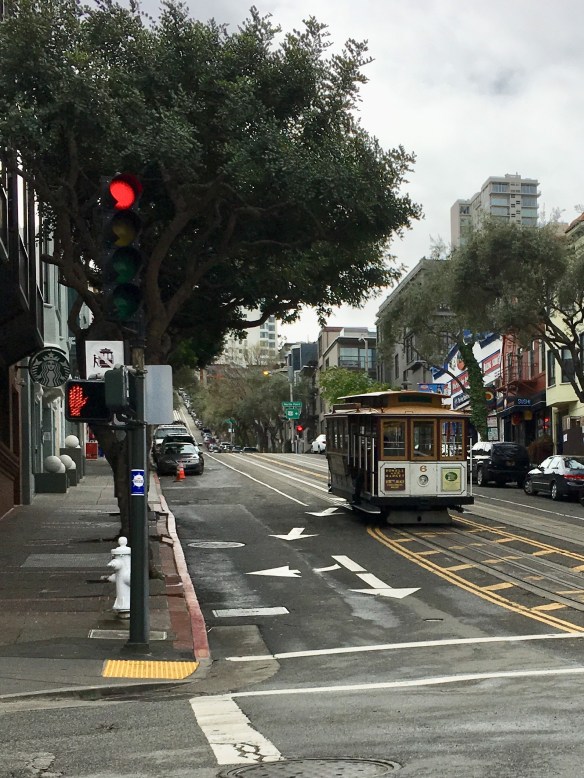 9500A3CE-2995-47A5-8F20-508579FE5E7C