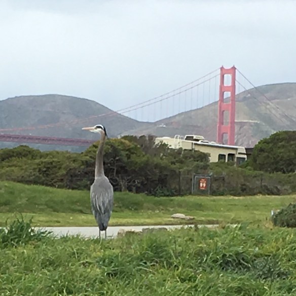 E39FC325-18C7-4E2B-B35E-76D63C503B78