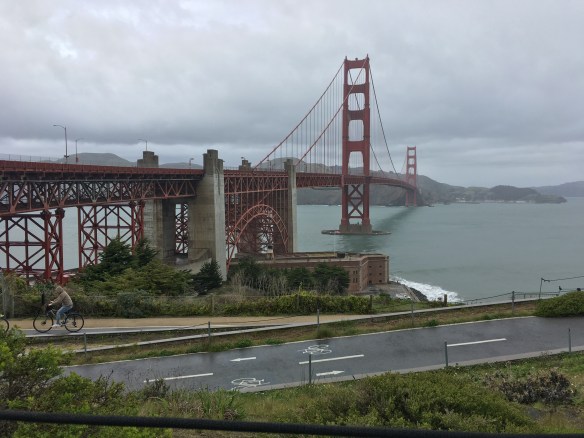 E5CC69D1-28A5-4703-BCD8-B5909F859625