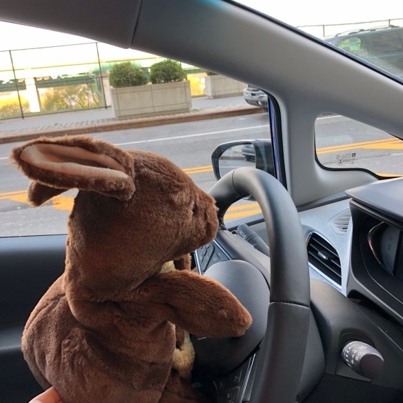 CBEA0B91-35C7-415F-929A-1EA0CF965986