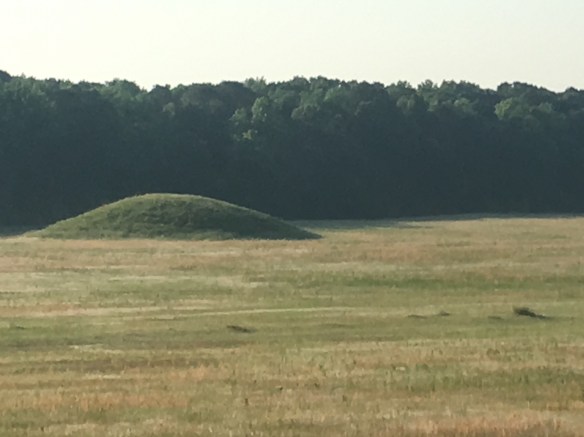 01D91FEC-060E-41C1-91F0-3F33FD30F252