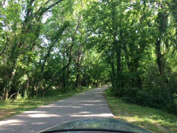 190B93FD-EFB2-4485-88DD-96635BDBCBF5