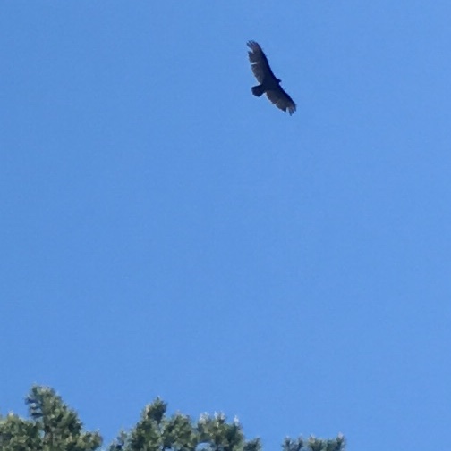 1D76DD23-A6AD-4D38-876A-80F72CCED30D