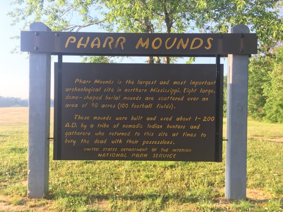 22DD6097-DB70-4648-A74F-68F8C71A907F