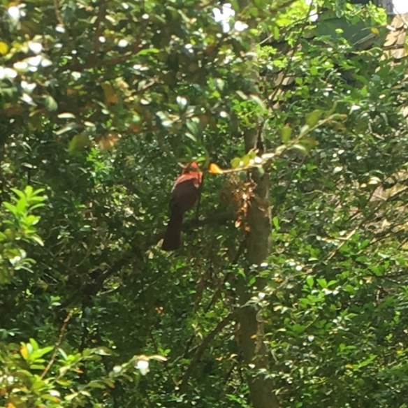 3C458D37-8999-4CE6-BFCD-31A5E52380D4