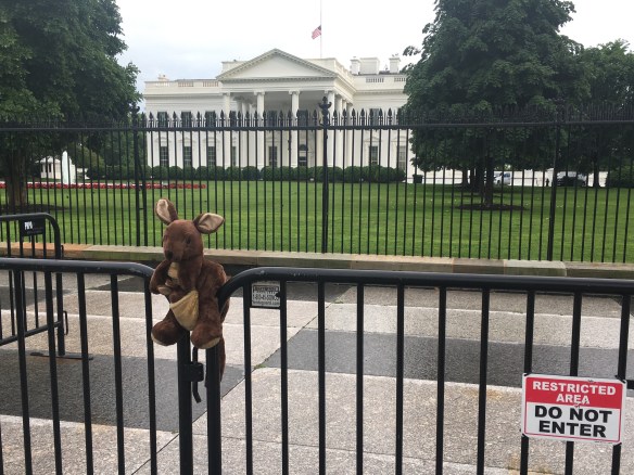 3CD24BDA-C454-4439-90D8-CF55F505FFA3