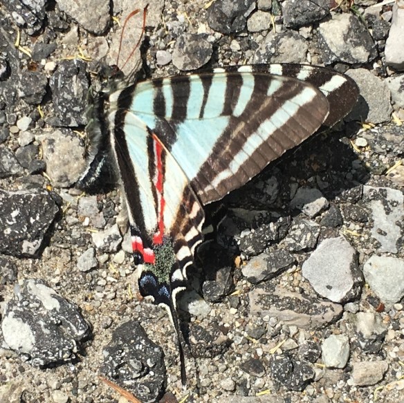 4ABB7524-7659-4AD3-BD6D-16D153C4F42F