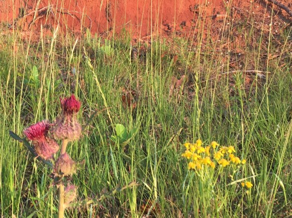 54EC2D64-918C-408F-9F7B-7F0BC7961E7F