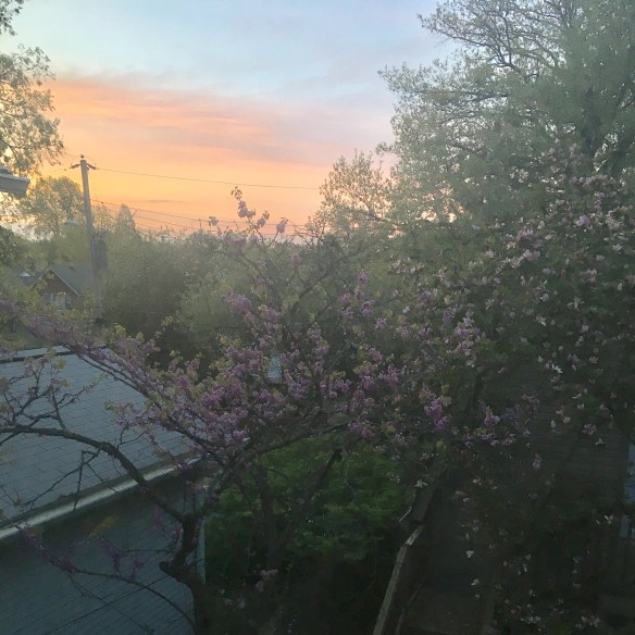 5DC53CAC-524D-4C89-AC4A-3EC89819D9A2