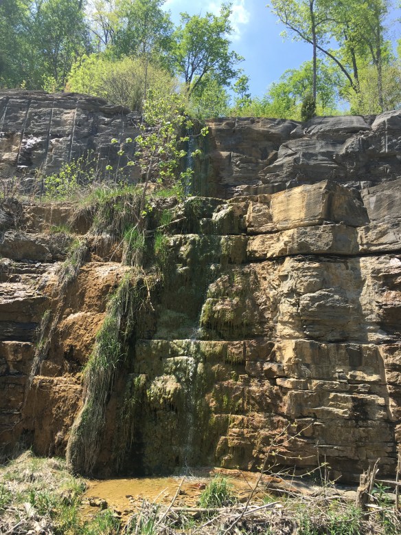 647CB5A7-AA96-4189-97F7-07DD8679ED10