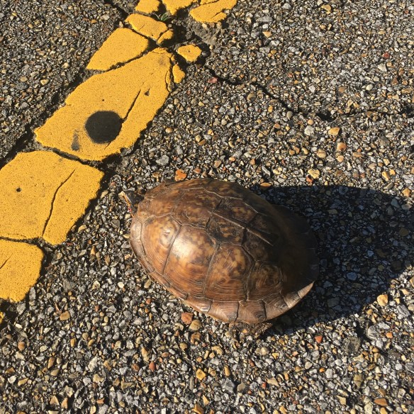 6C49C160-2DA7-4973-8D1D-19AA60E6C996