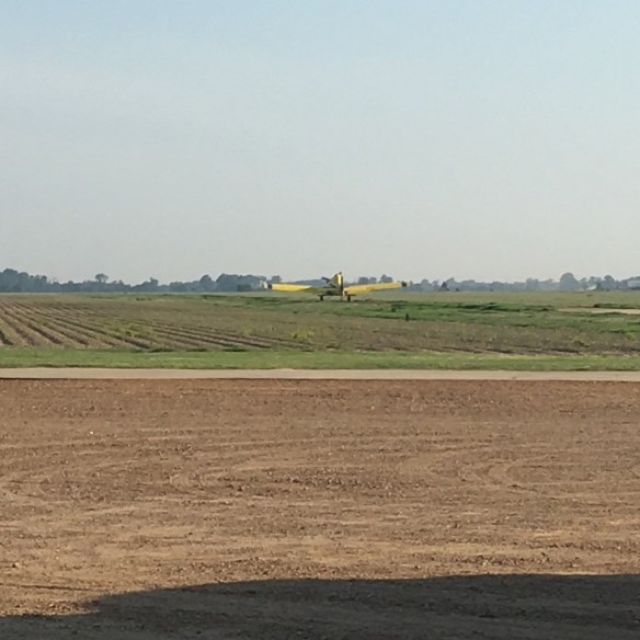 76E355E6-8215-420C-9566-567D5813F144