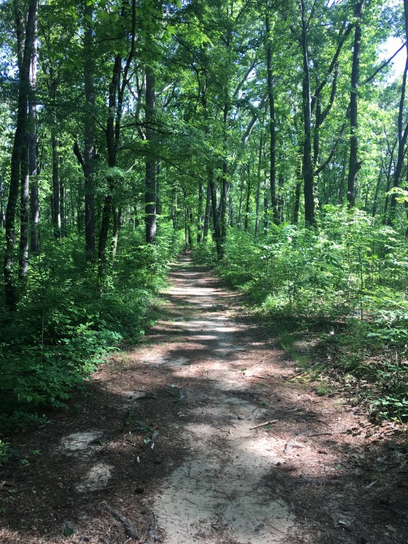 77DB9446-7F56-4F9E-8562-3B88A640848F