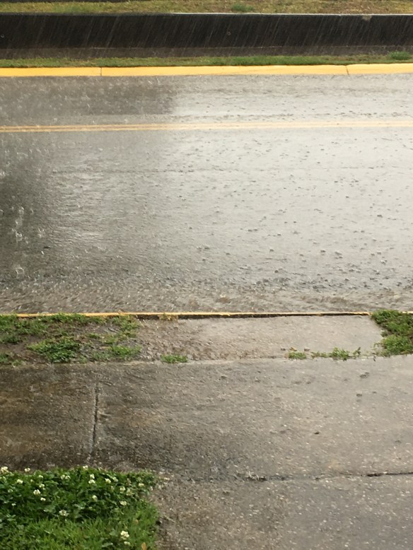 9A7FF275-0C67-4AEC-89B7-A36736CAC1D3