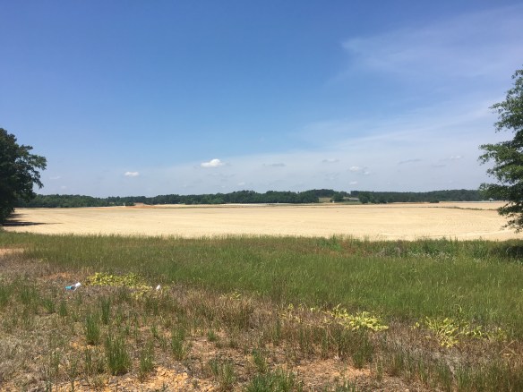 B998DE85-26D4-4FEB-981F-18CE0A23B2EF