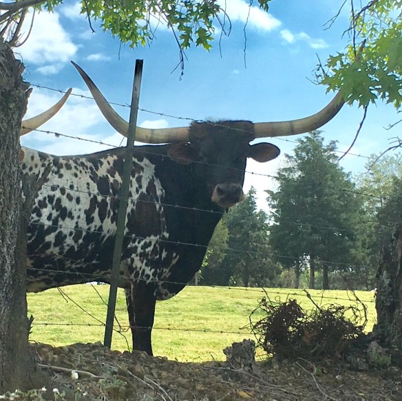 BD5F5B4B-861F-462B-8DAE-5F1757EB9901