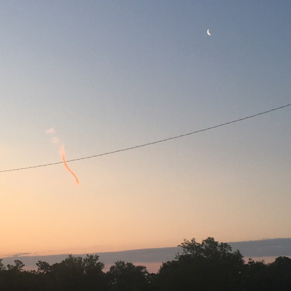 C78B8417-C22A-4B42-82ED-EA8D6DAE5EB3