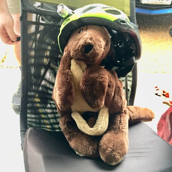 C8F735C4-AE62-4159-9974-9D01D57A7005