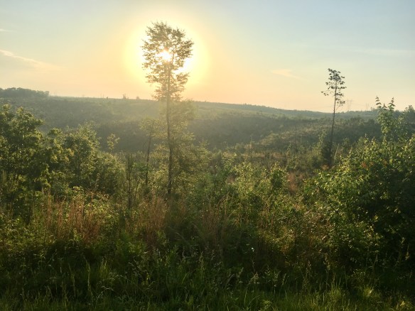 D967F431-9B21-4F2B-9439-B25190D1C4E2