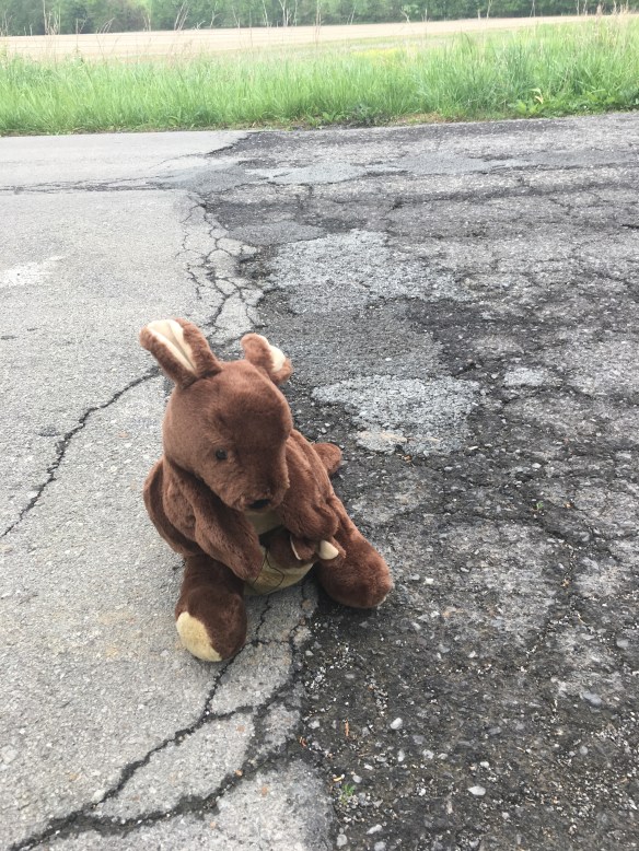 EAF5EA3E-5981-4097-8749-F8614C64A4FF