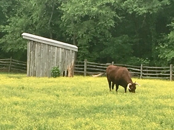 FA14434A-46A6-431B-8ADC-6548E225B498