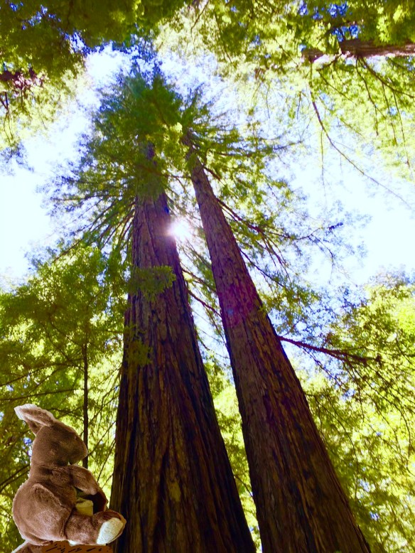 df41a2e4-0572-4c69-889c-48d3bad58700