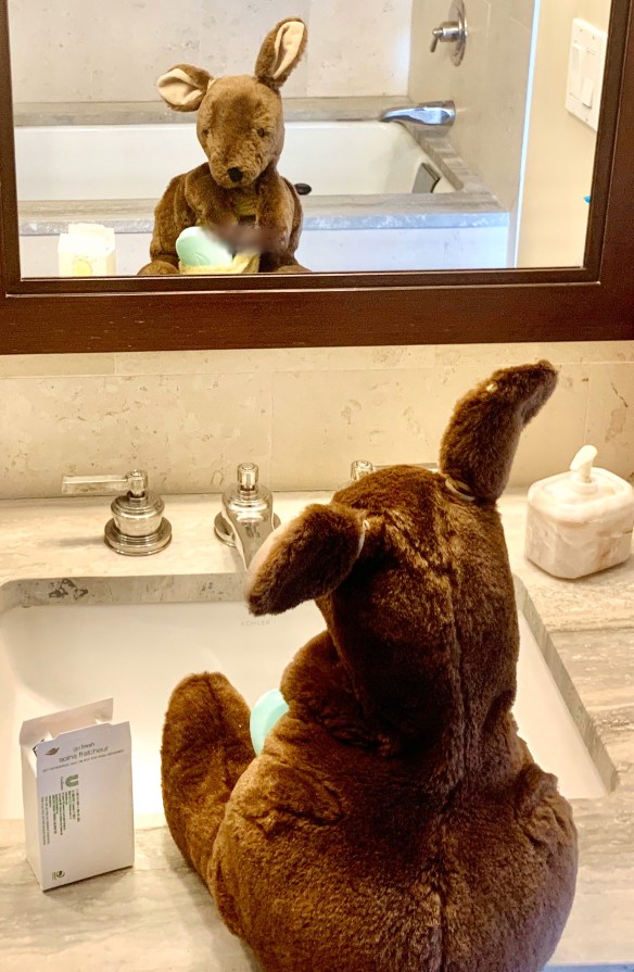 83D8B275-F855-4BB5-9B1B-EA263F46F575