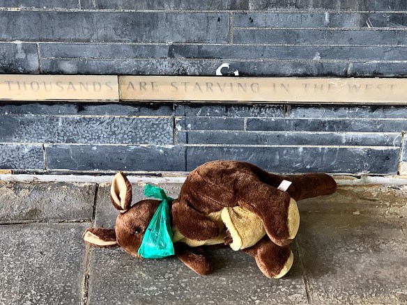 016CD3A7-9419-46DB-A339-34F8CB2ACE76