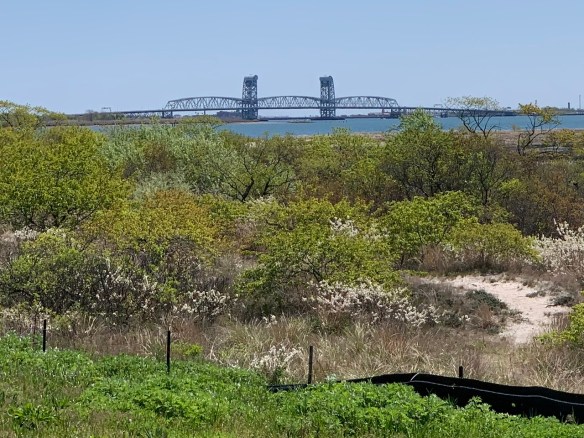 55B49B5A-DC9C-4792-8089-7E7D239AE959